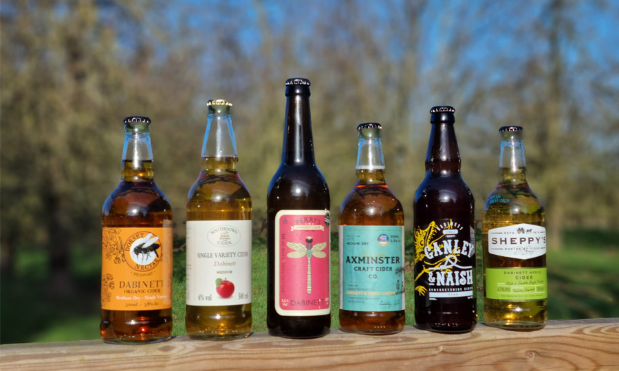 The Dabinett Case - February's Cider Subscription Case